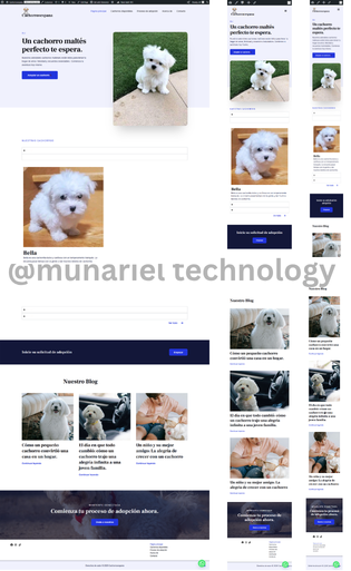@munariel technology 20260612 052934 0000