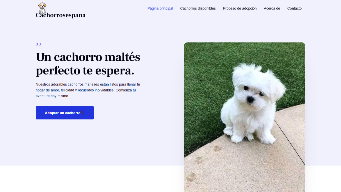 screencapture cachorrosespana 2026 06 11 05 00 29